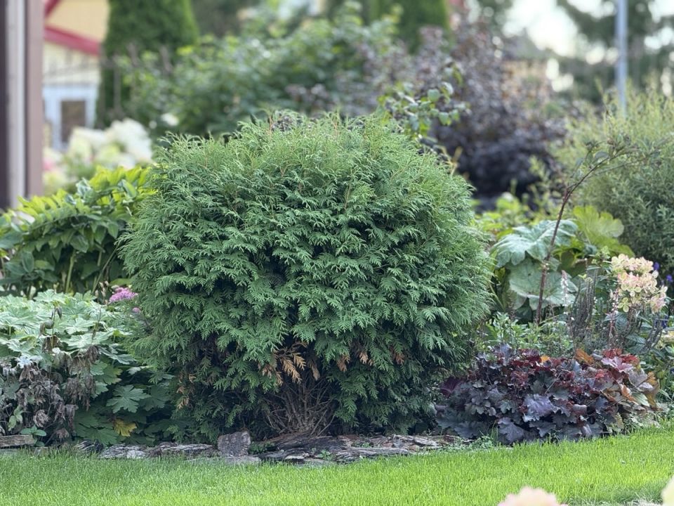 ��� ������: ���� � ����� ��� ���������� �����