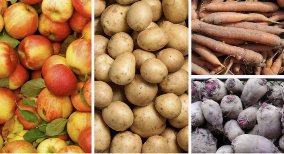 �����, ������� �� ����� ������� �����