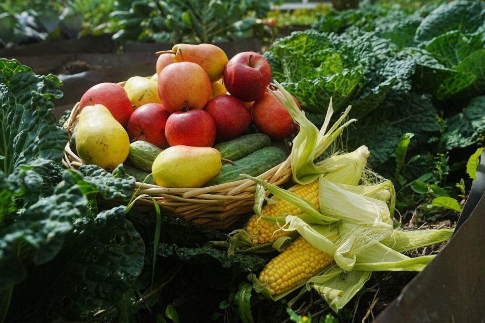 ��� ���������� � ������� ������� ��������