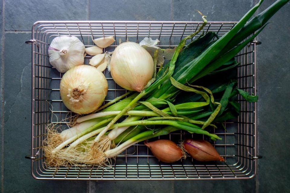 ��������� �������: ���, ������, ���-�����