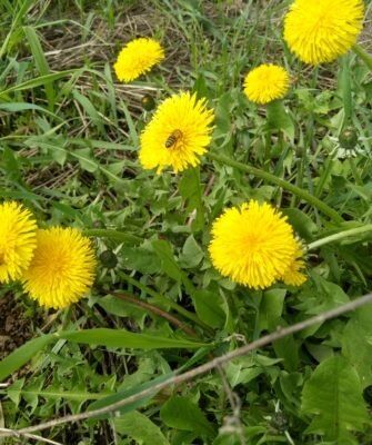 ����������: �������� �������� ��� �������� �������� � �������� ������