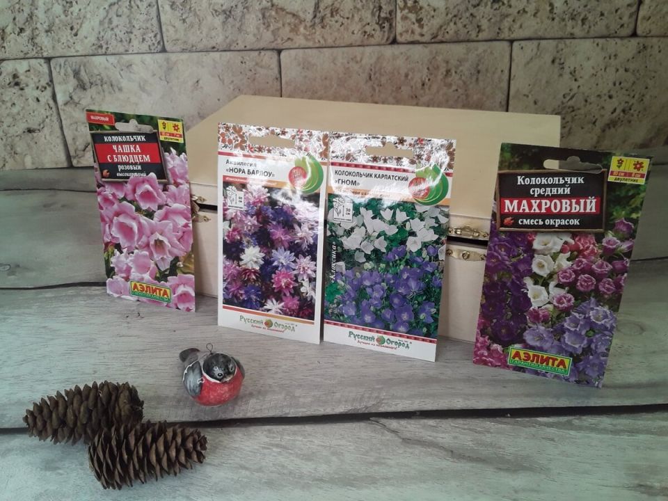 ������ ���� � ��������� ��������: ����� ������������ �������� � ���� ����