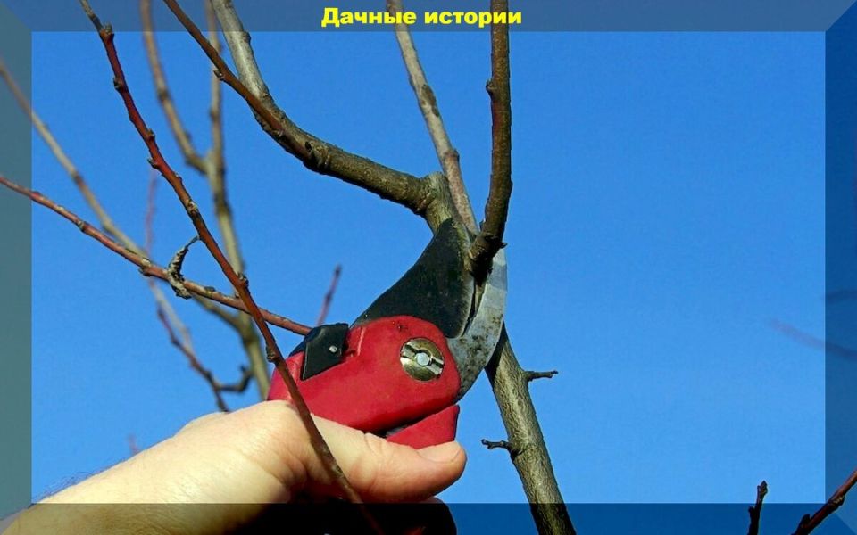 ������� ������������� ������� ��� �������� ��������