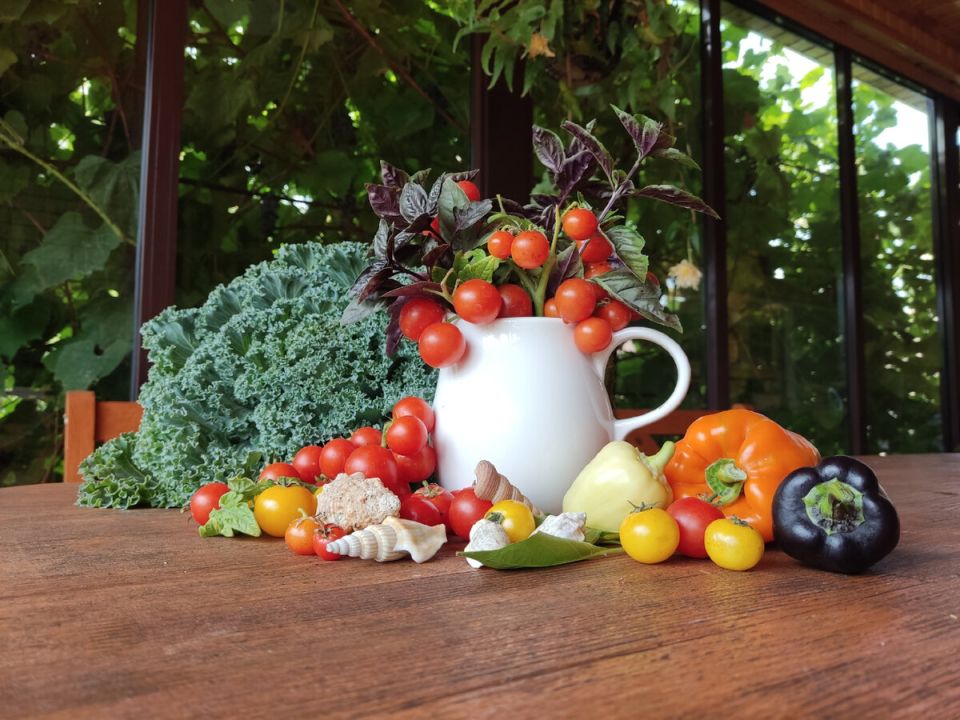 ��� ����������� �������� ���������� �������� ������� �������: ���������� ����������