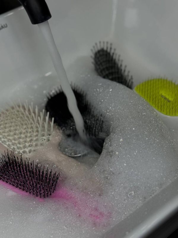 ������ ���������� ������ �������� � ����� �������� ����� �����