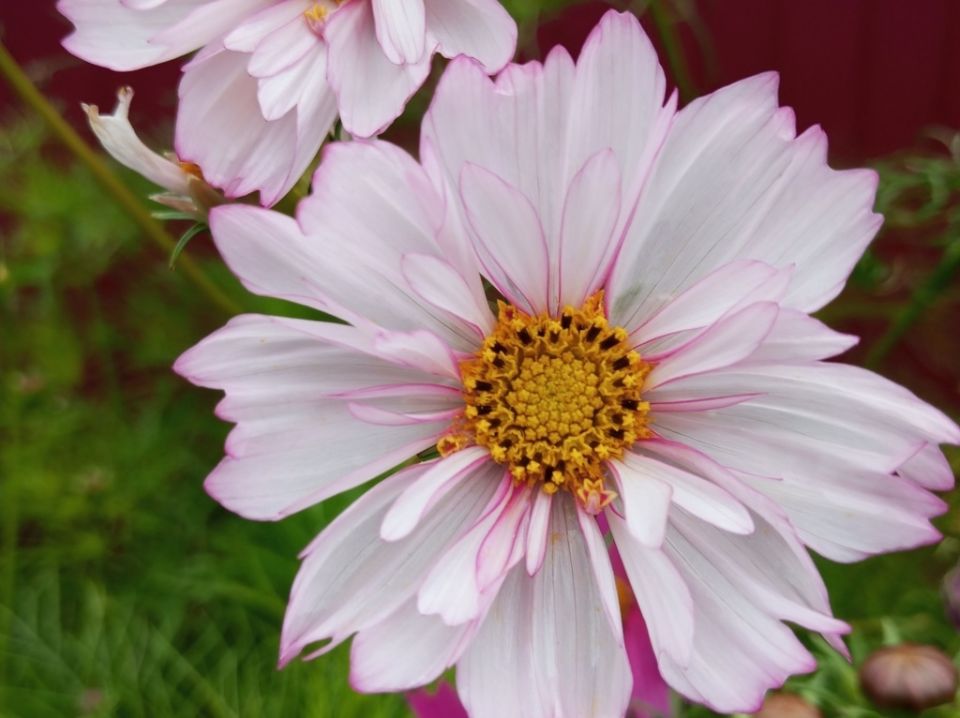 ��������� �����: ����� ���������� ����� ������ ������ ���������?