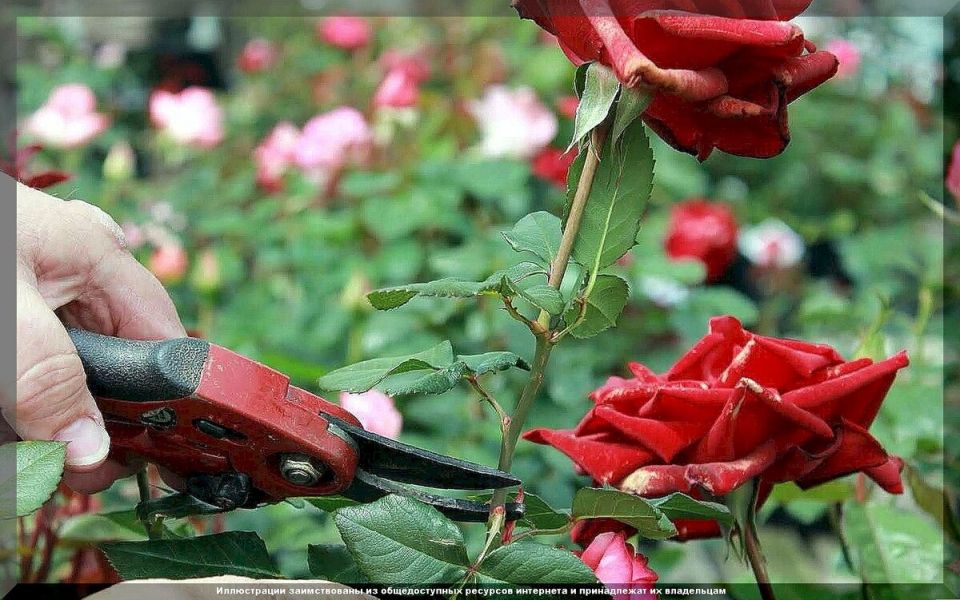 ��� ��������� ����������� ���� � ����: ������ ������ ��� ���������