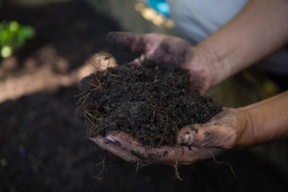 ��� ������� �������� �� �������� ������: ������ �� �����������