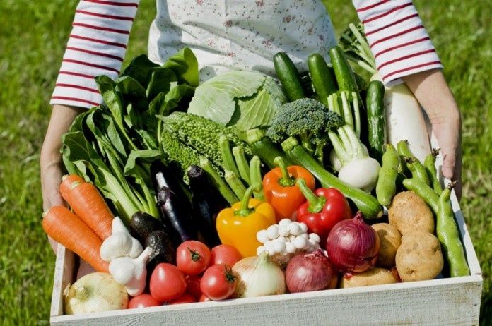 ����������� ��������� �� ��������� ������: ������� ��� ������ ����