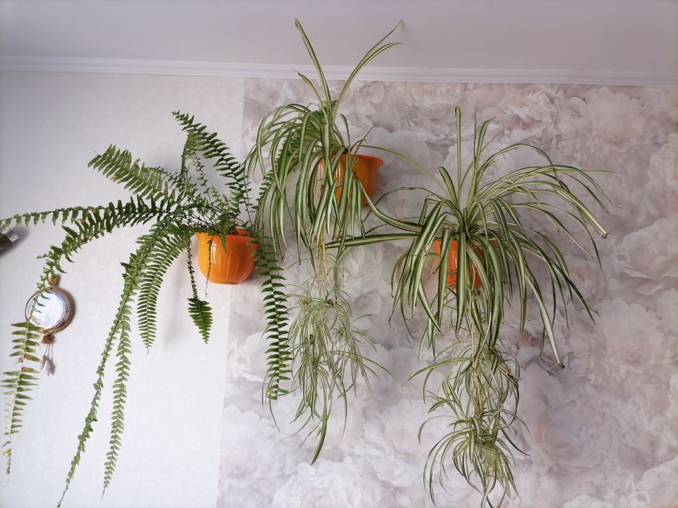 ��� ������� � ����� ��������� �������� ������