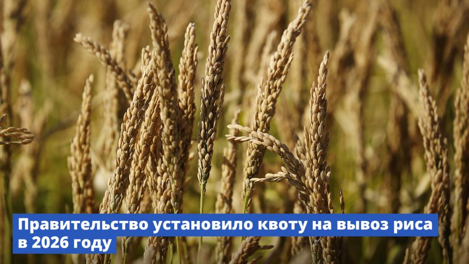 ��� ����� �� ����� ���� ����� �������� ����� ��������� ���������