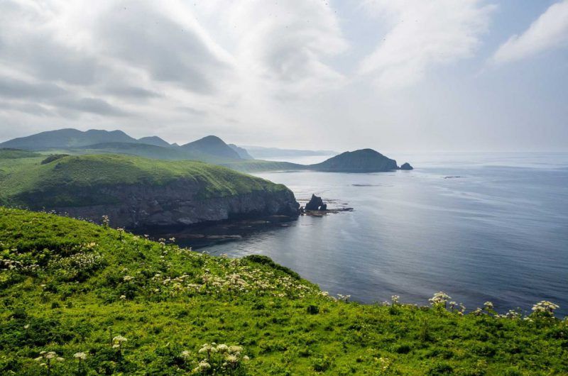 ��������� ��� ������ �� ������: ��� ������� ������ ��������� 99 % ������