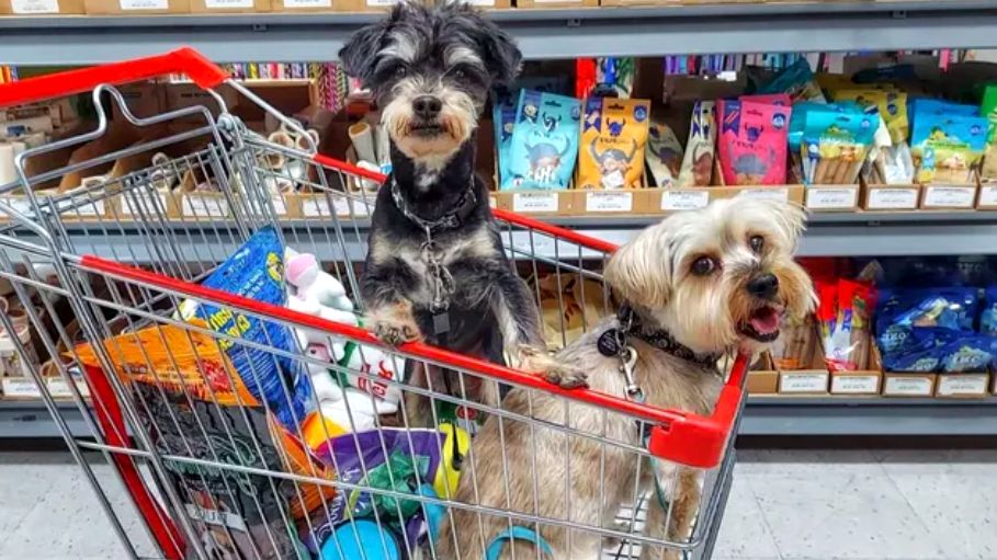 ��� ���������� ������ ����� ������ ���� ������� � ������������