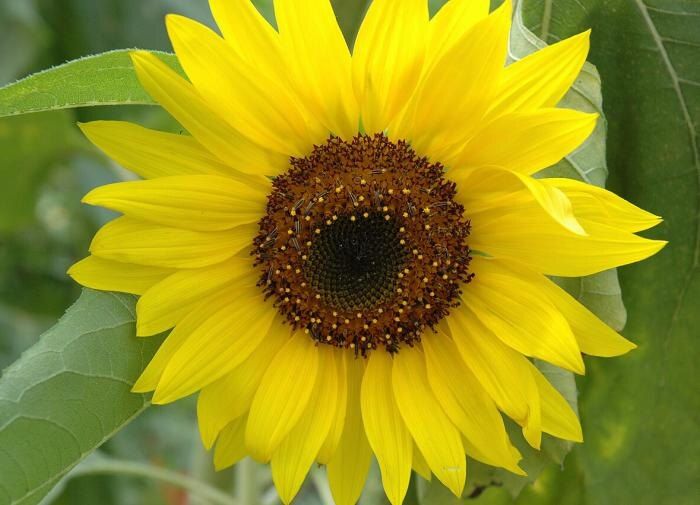 ��� ��������� ���������: ������ ��� ��������� ������