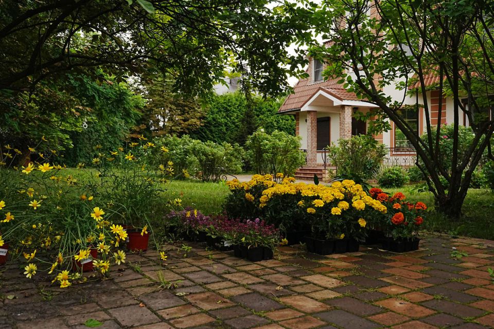 ��� ��������� � �����������: ������ ���� �� ���� ����� �����