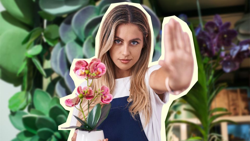 ���������� ��������� ������� �� ������������ ����������: ��� ������ ��������� ������