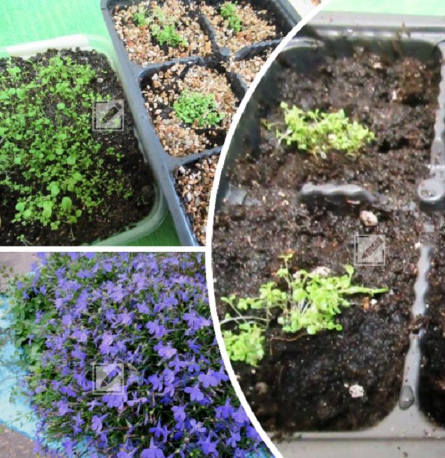 ����� � ��������: ��� ��������� �������� ������� � �������