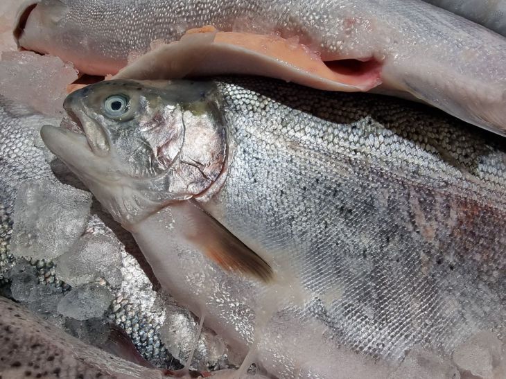 ����������� ����� 10 �����: ������� ������ �������� ������ � �������� ��������