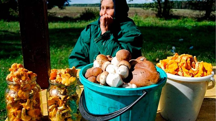 ����� � �����: �����, � ������� ����� ����������