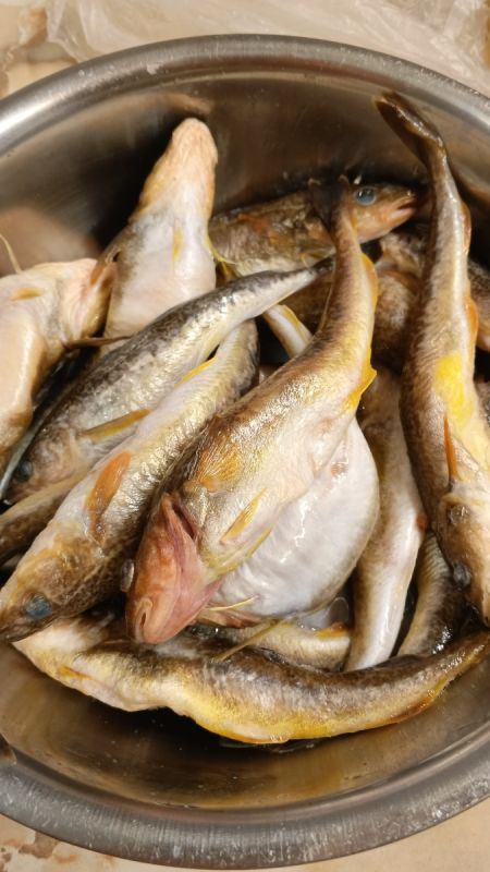 ��� ������ �� ������ ���� ������������ � ������ ��������� � ��������� ����������