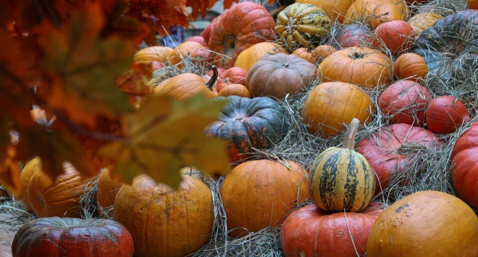 ��������� ����: ��� �������� ��� ����� � ������������