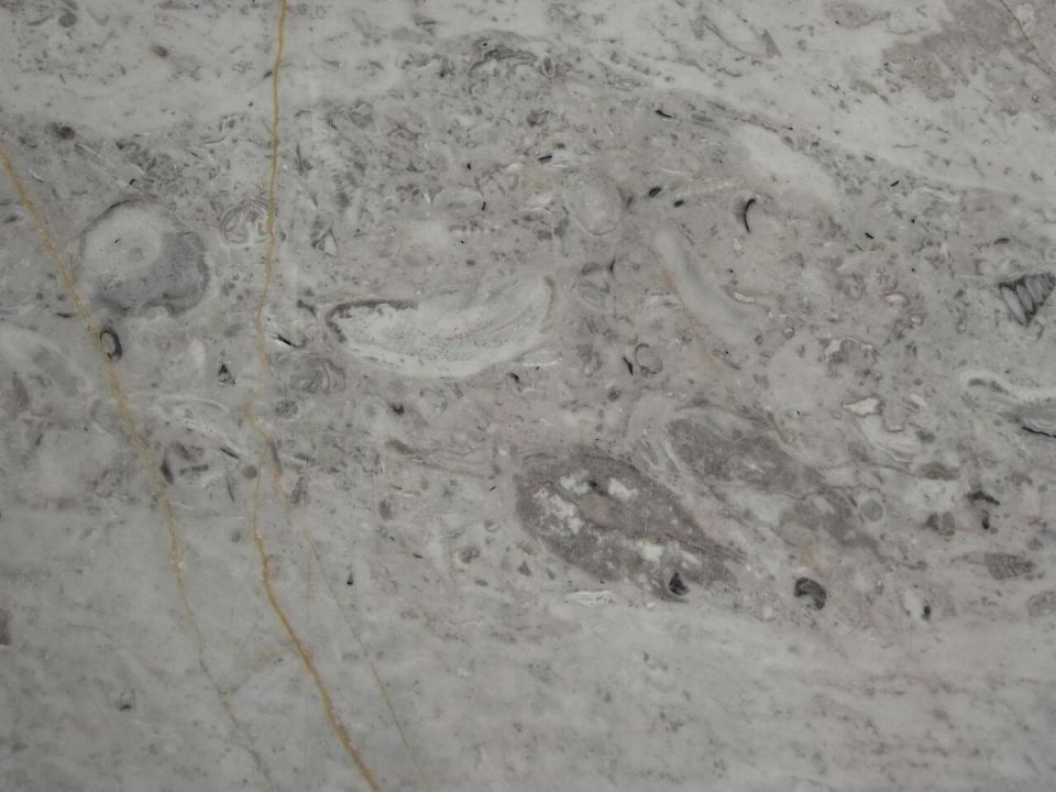 ��� ������� ������� ���������� �����: ������� ������ �� �����