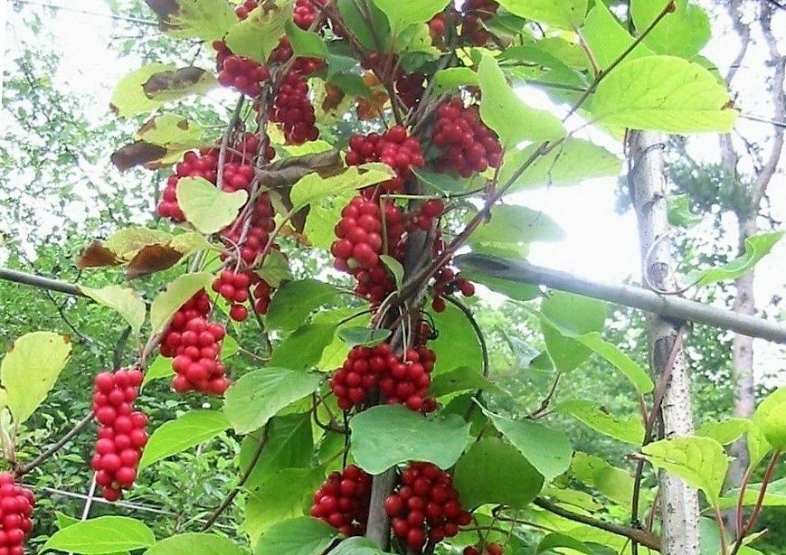 �������� ���������: ����������� ����� ��� �������� � ����������