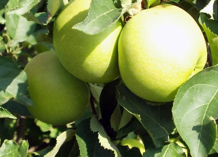 ������: �� ������� �������� �� ����������� ������ � �������, ������� ����� ����������