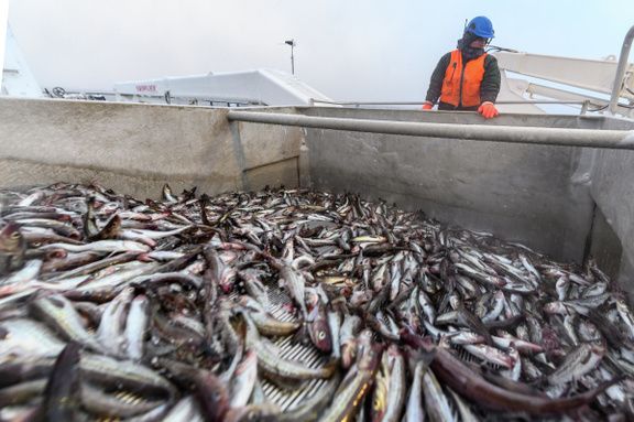 ��� ���������� ���� ����������� ������������� �����