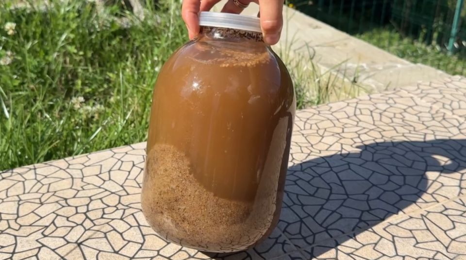 ��� ����������� ��������� �������� ���� �� ����������� �������