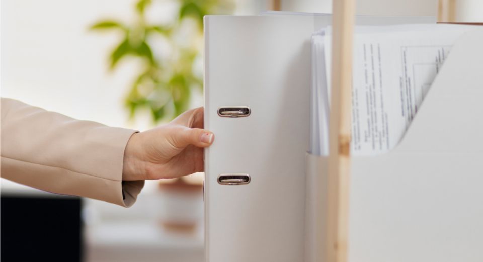 ������������ ���: �� ������� � ������� � �������