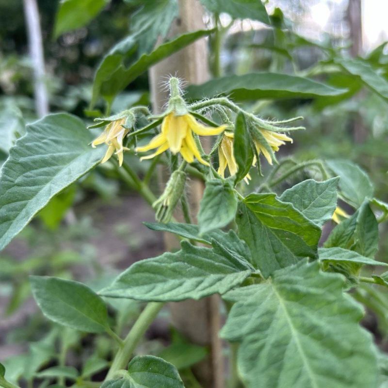 ��� ������ ����� ����� �������� �������� ������ �������