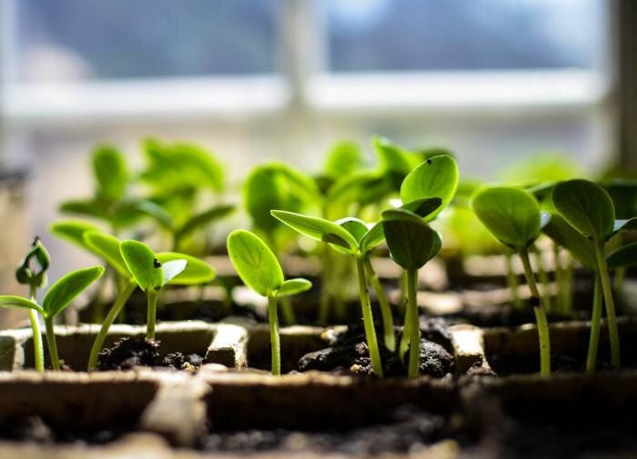 ������ ������� ������� � ���������? 6 ������� �����, ����� ������ ������ �� ������