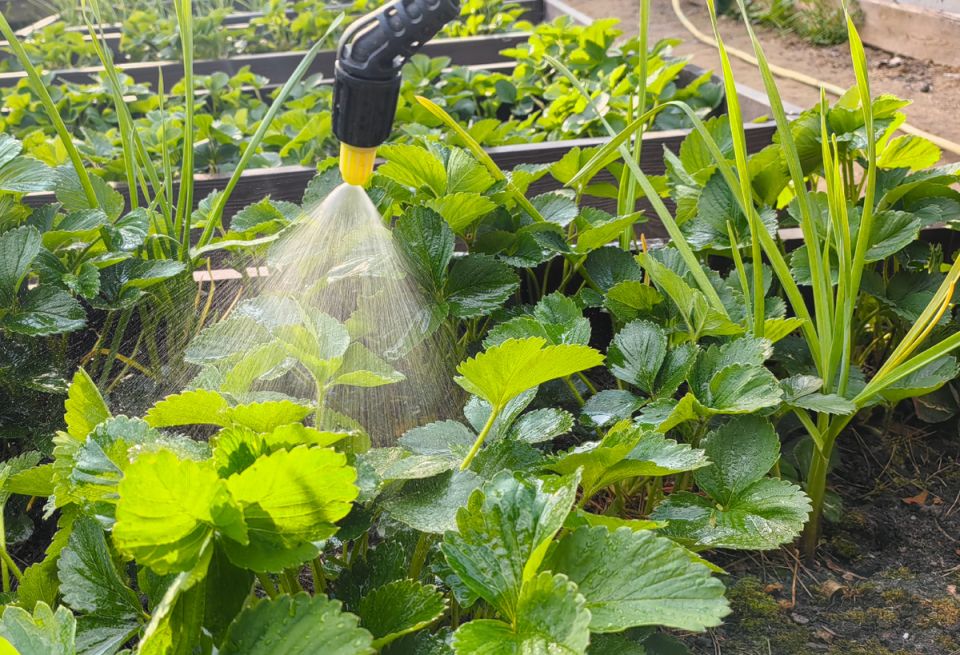 ����������� ������ ��������: ������ �� ������ � �����������