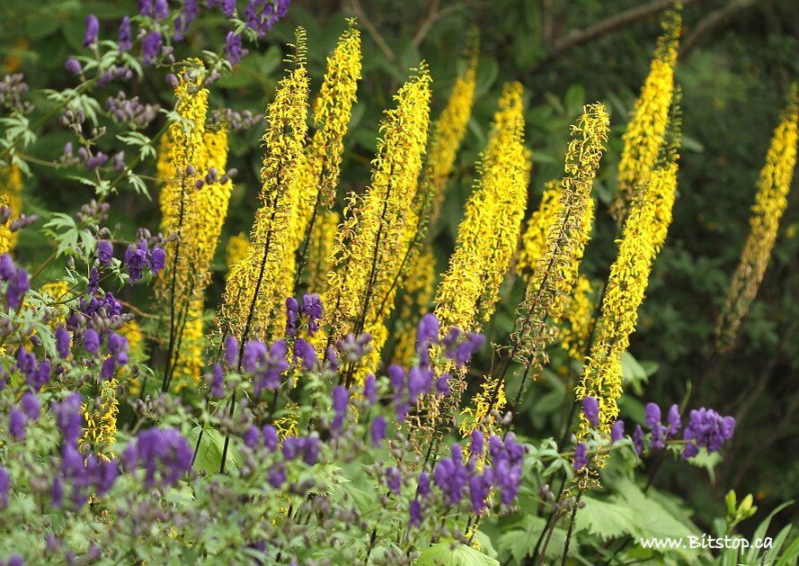 ��� ���������� �� �������������� � ����������� � ����� ����: 8 ����� �����������