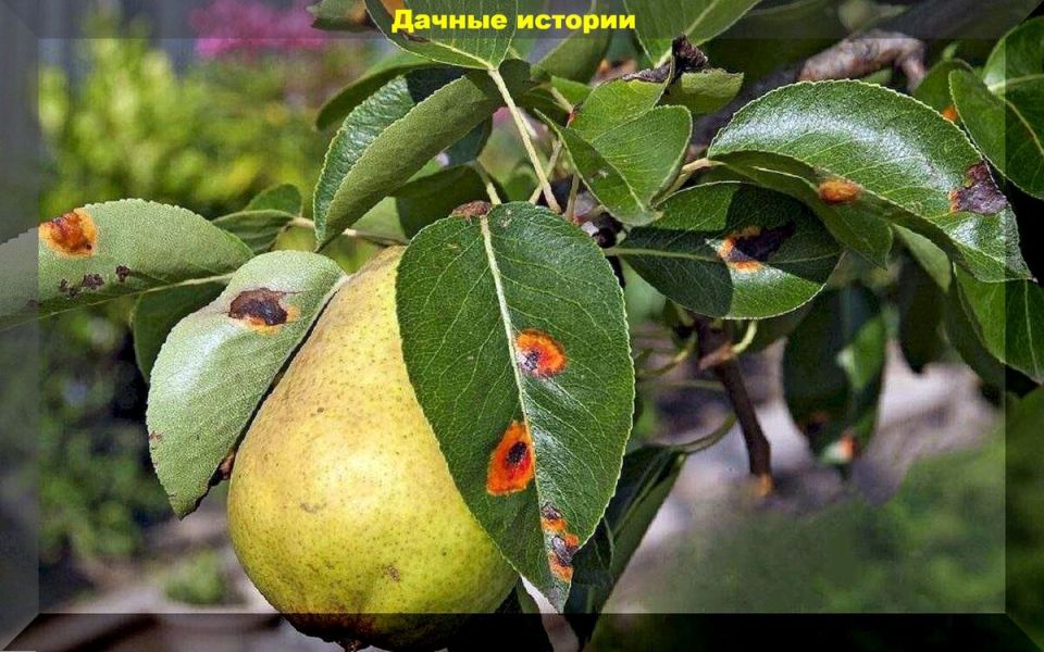 <strong>����� ����� ����������� � ���������, �������� ����� ����� ������� ��������� �����.</strong>