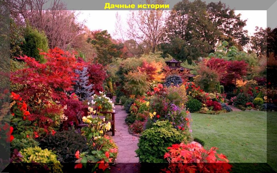 ������� ��������: �������� �� ������� ���������� ��������