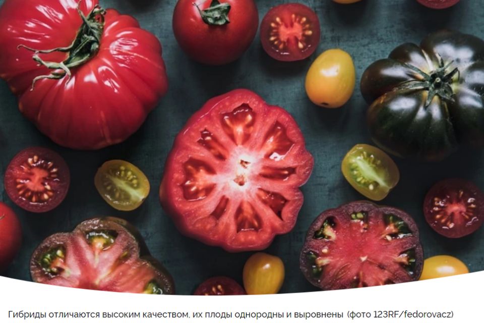 ���� ��� ������: ��� ������� ��� ������ �������?