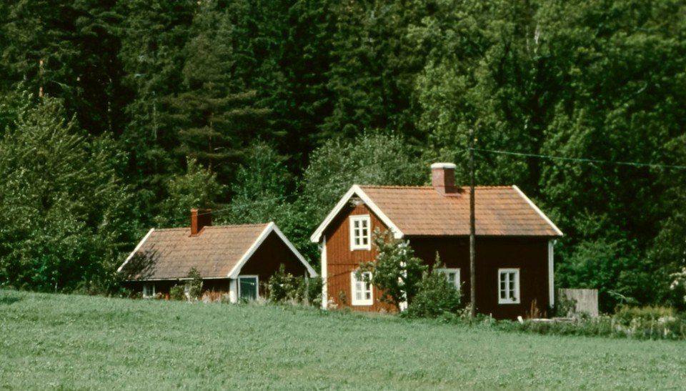 ����������� �������: ��� �����������, ���� ��� ������� �������� ������������ ��������