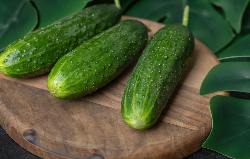 Огурцы в летнем меню: освежающие рецепты и польза для здоровья