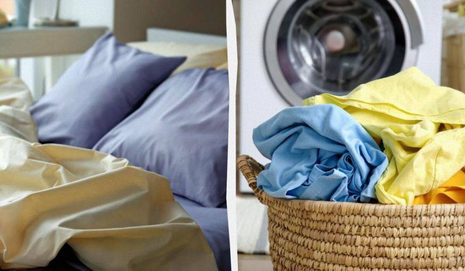 ��� ��������� ��������� �� ���������� ������ ������: ������ ���������